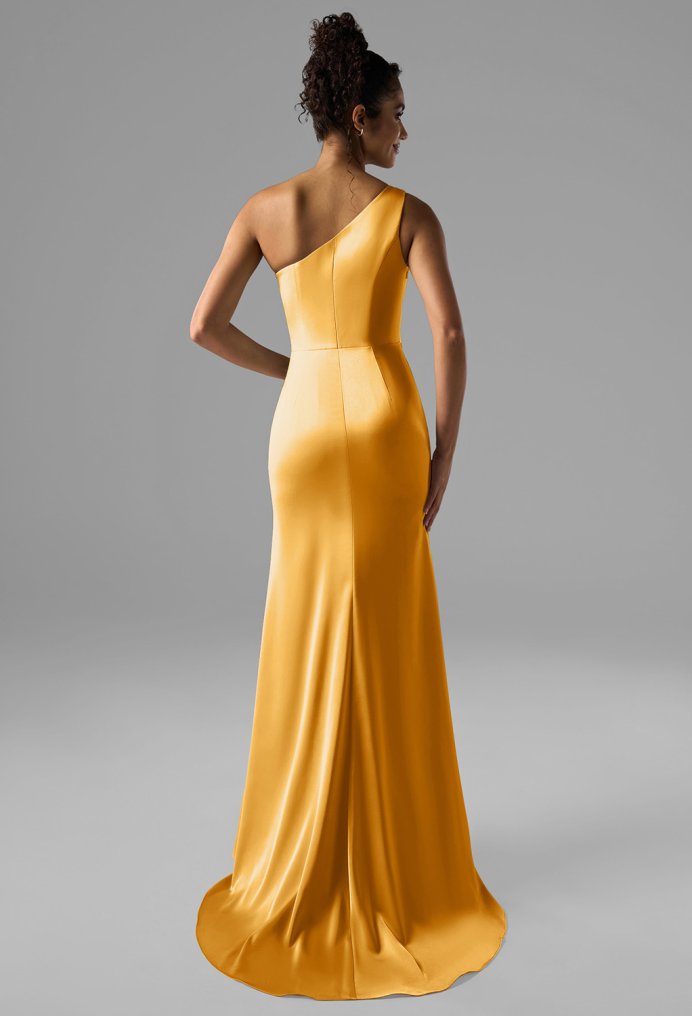 AW Rohan Dress